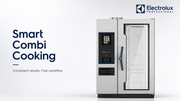 Electrolux Professional