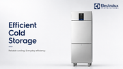 Electrolux Professional