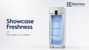 Electrolux Professional