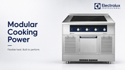 Electrolux Professional