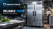 Maxx Cold