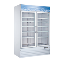 OMCAN 50075 (FR-CN-0045-HC) 53" 45 cu. ft. Freezer Merchandiser