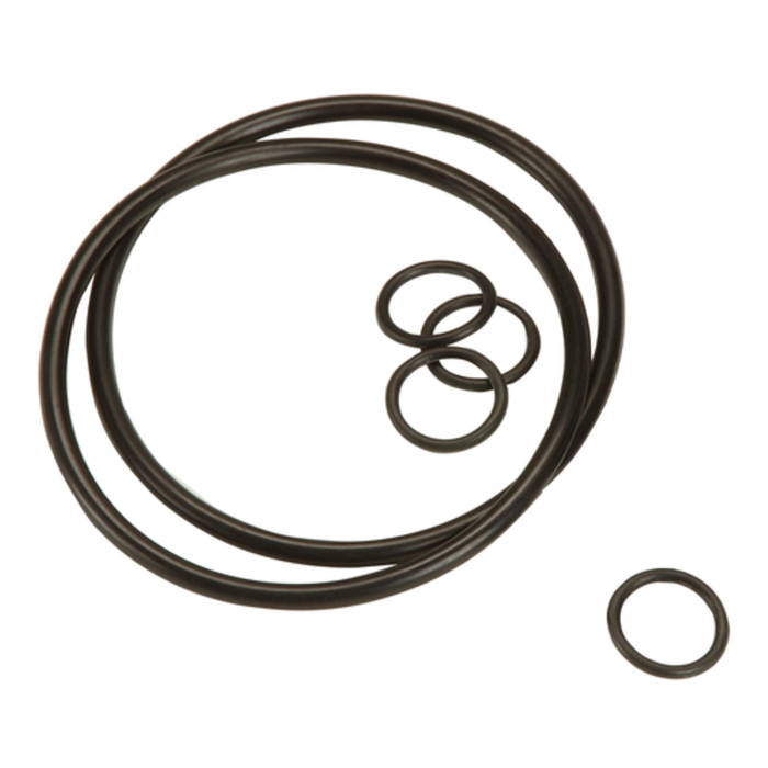 Antunes 7000413 Ultrafiltration System Capacity O-Ring Replacement Kit Parts