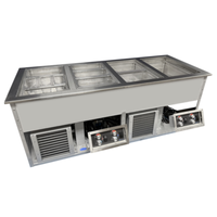 Randell HCI-3 Drop-In Hot/Cold Food Well 48"L x 26"W