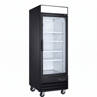 AFE GF23 One Glass Door Display Freezer - 31" Width
