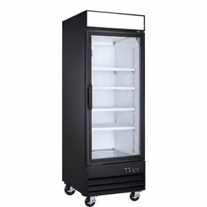 AFE GF23 One Glass Door Display Freezer - 31" Width