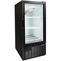 HABCO SF10HCBXM 23.88-Inch Freezer Merchandiser
