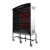 Dorégrill MAG 58/6 Electric Rotisserie Oven For Chicken Featuring A Black Porcelain Finish And Stainless Steel Trim