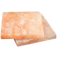 DRYAGER SALTAIR Salt-Block Set for UX 750 PRO Cabinets