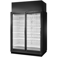 Congélateur de présentation à porte vitrée basse température True Refrigeration TRM2L 168,6 cm