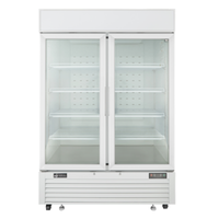 EFI Sales FI2-54GDWVC 54.4" Bottom Mount Glass Door Merchandiser Freezer with two glass doors, white commercial display freezer