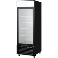 EFI Sales Ltd. 27 Inch Single Glass Door Ice Cream Freezer with glass door display, LED interior lighting, and shelving