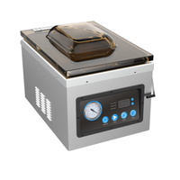 Tag alternatif : EFI Sales Ltd. VS-CH-10 Chambre de comptoir Machine à sceller sous vide à chambre de comptoir de 10,25 pouces avec couvercle transparent et panneau de contrôle