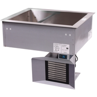 Alto-Shaam 200-CW/R Drop-In Refrigerated Cold Food Well, 2-Pan