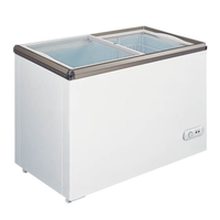Omcan 49294 53.6"W Ice Cream Display Chest Freezer 12.6 Cu. Ft.