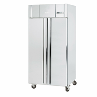 Infrico IRR-AGN602BT 38-3/8" Two-Section Slimline Reach-In Freezer