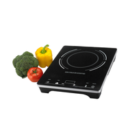 Eurodib C1823 Commercial 1800W Countertop Induction Range with Precise Temperature Control with vegetables, black portable cooktop