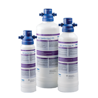 BWT E900935 BestProtect V Water Filtration System Replacement Cartridge, 2 Pack