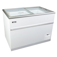 Celcold CF41ESG 43"W Freezer Merchandiser Ice Cream Dipping Cabinet