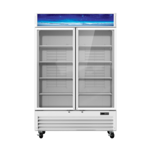 Congélateur-présentoir en verre à deux portes Blueair BGF49W-HC de 1,39 m (54 po) et 1,39 m³ (49 pi³)