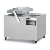Atmovac PAMPERO222D3G Falcon Double Chamber Vacuum Packaging Machine for optimal food preservation.
