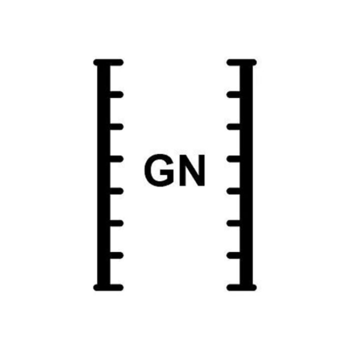 Lainox RBG21 Shelf Rack GN 2/1 (Pair) for BGP621 Ovens