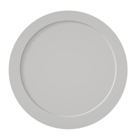 Skyfood 5BLR740 16" Diameter Flat Pizza Pan Tray for AMP-500EF