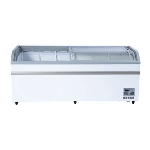 Ancaster Food Equipment XS-700YX 24.72 Cu. Ft. Novelty Freezer