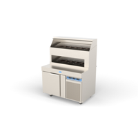 Randell 8148D-290 48"W Refrigerated Raised Rail Pizza Prep Table