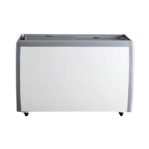 EFI Sales Ltd. FCFG-60 Novelty Ice Cream Freezer 60.2-Inch