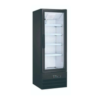 Ancaster AFE G10 21.6-Inch Single Glass Door Cooler
