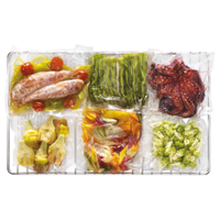 Lainox X2100 Stainless Steel Grid 20" x 24" (2/1 GN)