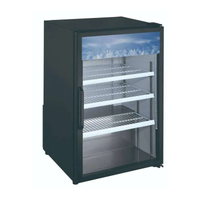 Ancaster Food Equipment AFE G6 6.4 Cu Ft Countertop Cooler