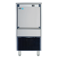 ITV DELTA NG 80 80 lb Gourmet Cube Ice Maker with Bin