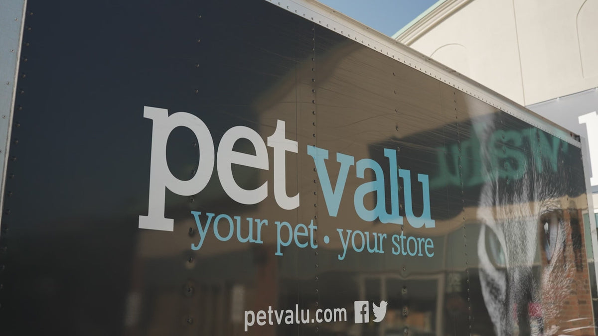 Customer testimonial video thumbnail