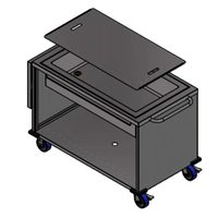 Winholt SS-BC-2748-INSULIB-FS18 70.5"L x 28.6"W Mobile Insulated Ice Cart with Folding Shelf