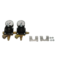 Cornelius 283012122 Dual Product Secondary CO2 Pressure Regulator 100 PSI