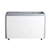 Ancaster FG-360 49.6 Inch Glass Door Dipping Cabinet Freezer