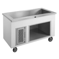 Randell RANFG IC-3 48"W Mobile Iced Cold Pan Serving Counter