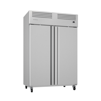 Infrico IRR-AGB49 Réfrigérateur professionnel double porte pleine 138,4 cm