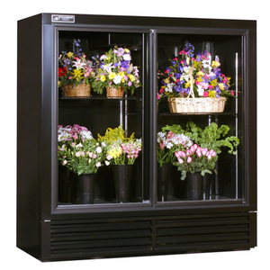 Powers FS70GDHC 70"W Two-Section Sliding Door Floral Cooler