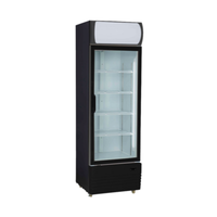New Air NGF-054-H 27" Glass Door Freezer Merchandiser