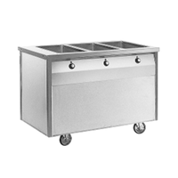 Randell RAN HTD-3 48"W 3-Well Electric Hot Food Serving Counter