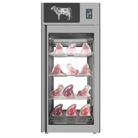 Stagionello 48042 31.8 cu. ft. Dry Aging Meat Curing Cabinet