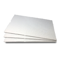 Henny Penny 12090 Prime Filter HD Pads (Carton of 30)