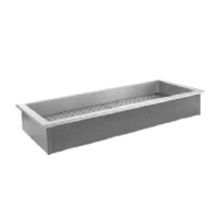 Randell 9772IC 71.25" x 26" 5-Pan Drop-In Ice Well