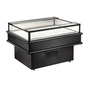 Ancaster Food Equipment AFE IC50 5.6 Cu.Ft. Refrigerated Island