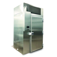 Infrico IBC-ABT202CBI Roll-In Blast Chiller Freezer 242.5 lb Capacity