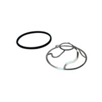 Antunes 7000751 Water Filtration System Brine Seal Replacement Kit