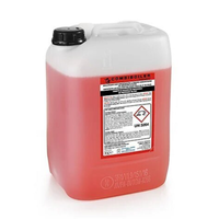 Lainox DS002BT CombiBoosted Acid Descaler 20 L (2x10L Canisters)